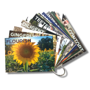 Image of the Wordier Illustrated Flashcards on a metal ring. The first flashcard shows a picture of a sunflower with the word "flourish". 